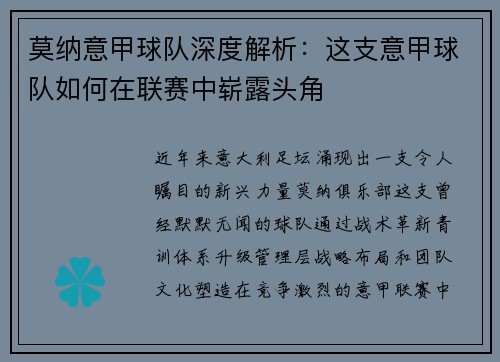 莫纳意甲球队深度解析：这支意甲球队如何在联赛中崭露头角